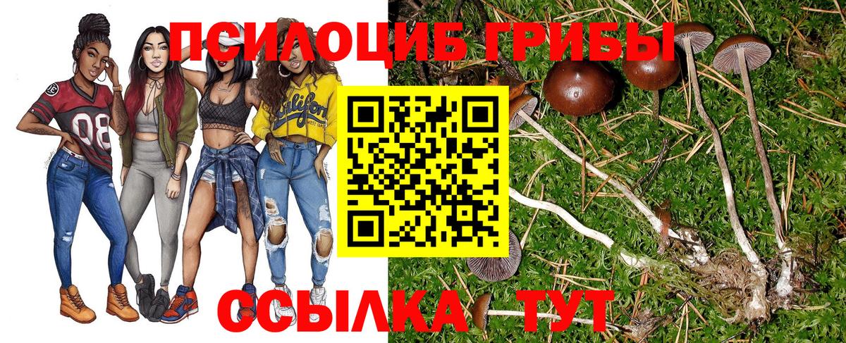 Псилоцибиновые грибы мицелий Новороссийск